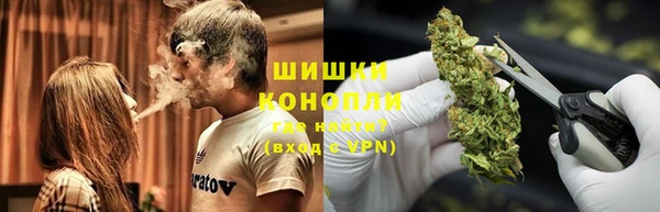 шишки Баксан