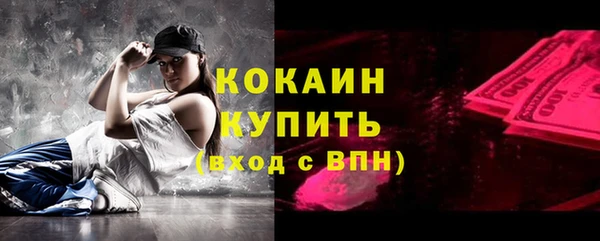 шишки Баксан