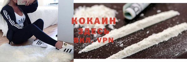 шишки Баксан