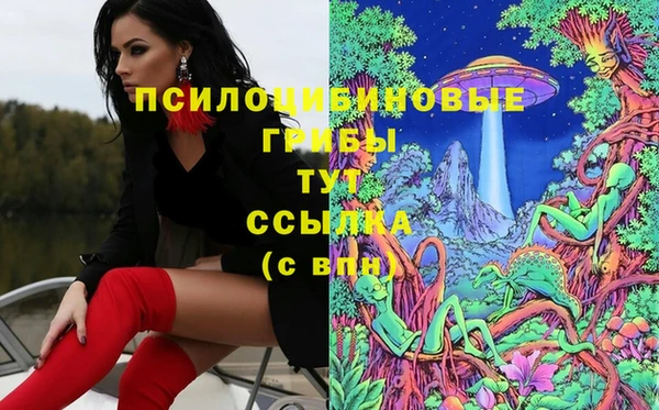 ПСИЛОЦИБИНОВЫЕ ГРИБЫ Балабаново