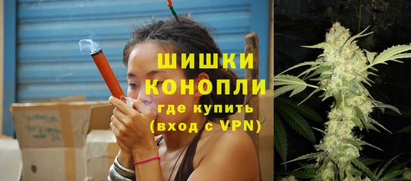 шишки Баксан